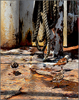 Rust and Feathers